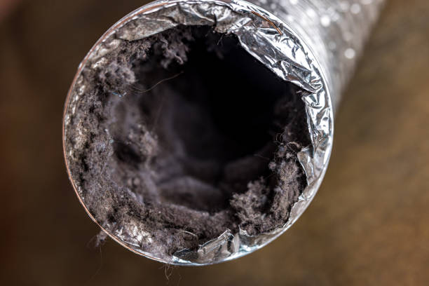 Best Air Duct Cleaning Near Me  in Salem, AR